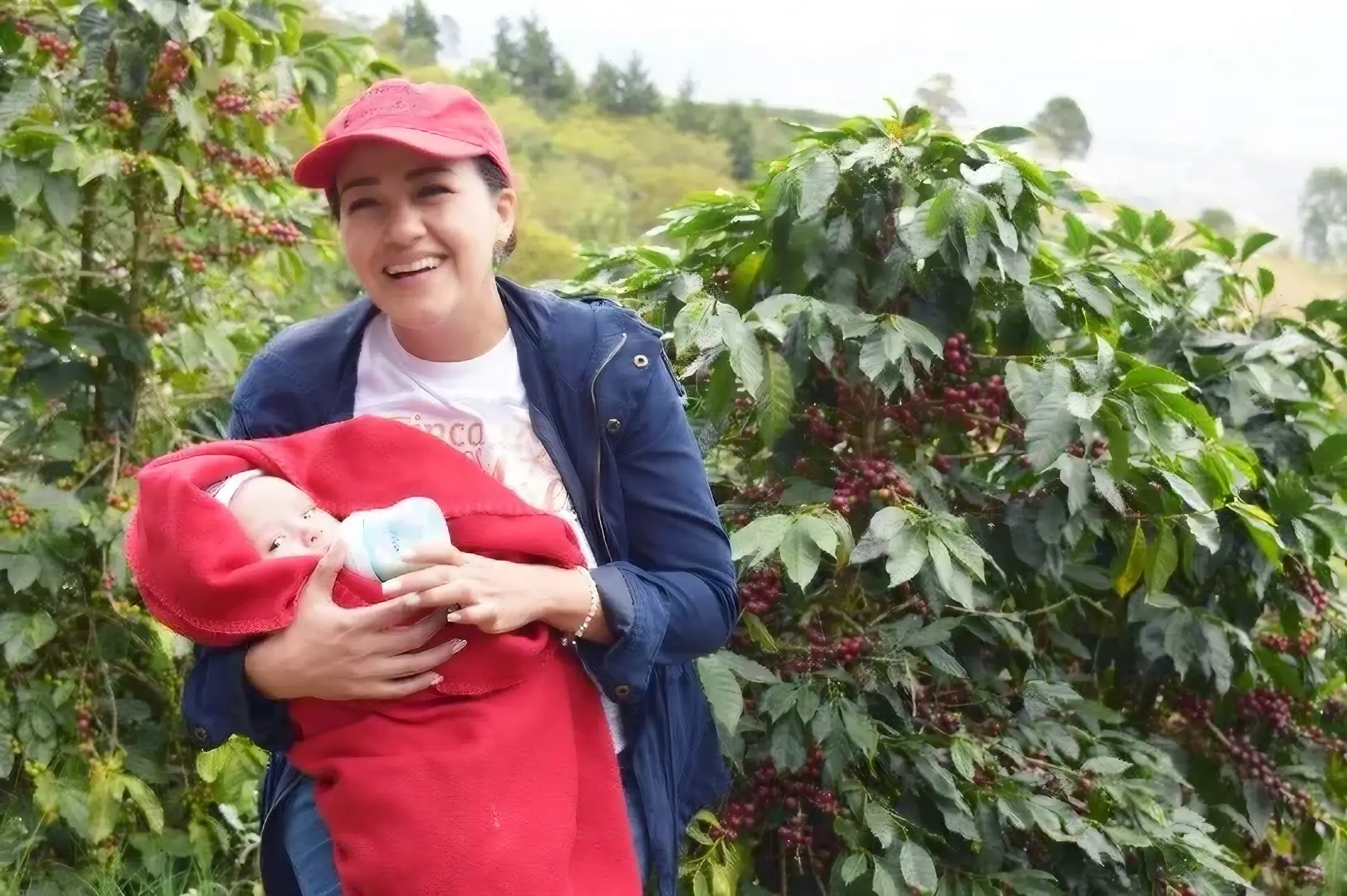 コーヒーの木を背景に女性と赤ん坊