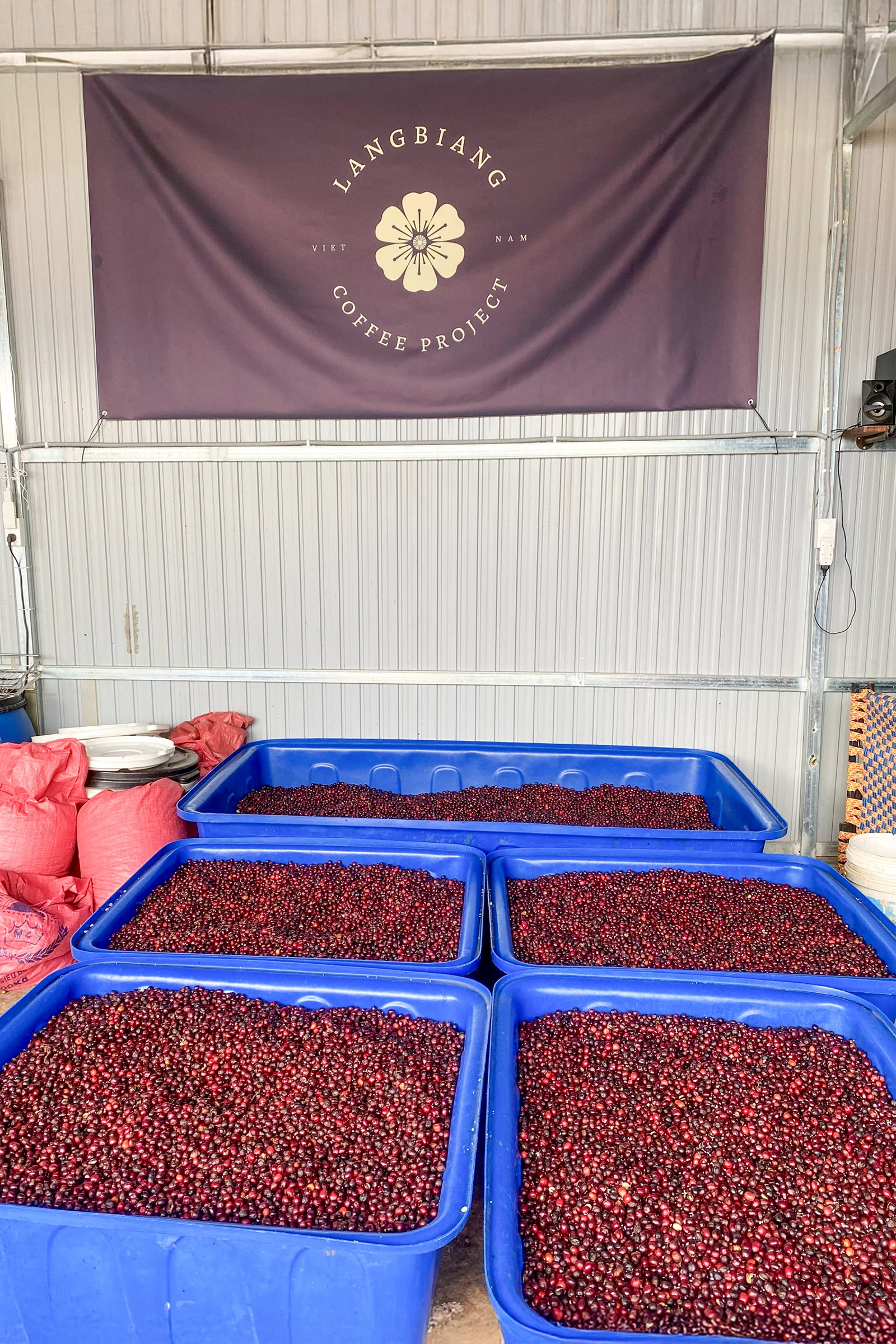 ランビアンプロジェクトのロゴ旗